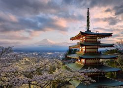 Travel Japan and Enjoy It